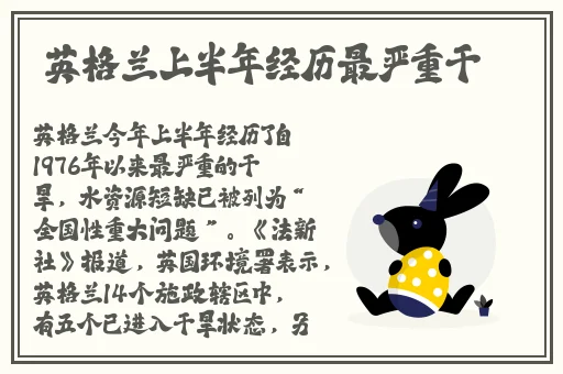 国产又黄又潮娇喘视频在线观看